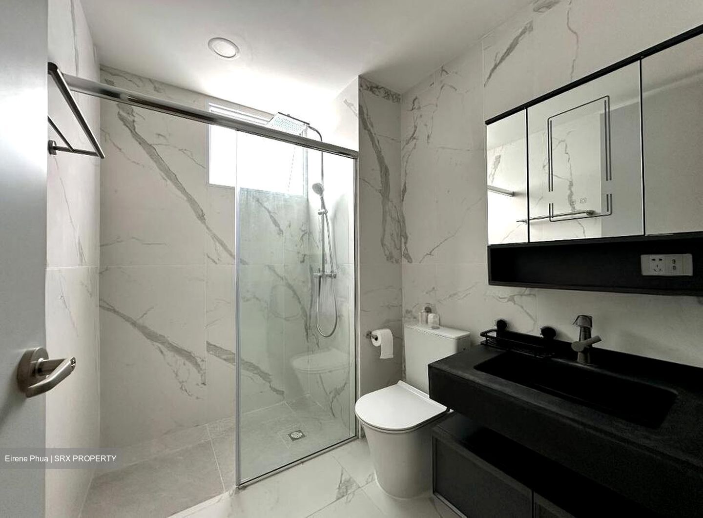 Thomson Grove (D26), Condominium #505420151